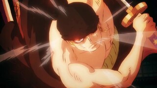 Zoro wakes up | One Piece episode 1046