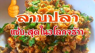 ลาบปลา ลาบปลานิล  ลาบปลาย่าง Larb Pla Spicy  Spicy fish