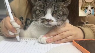 “I’ve already become a cat, yet I’m still expected to let knowledge change my fate.”