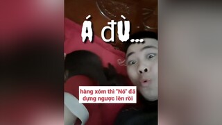 Câu trả lời ko bao giờ làm bạn thất vọng 😆😆😆 idolface sutieuthuy funny hài troll xuhuong tinhyeu