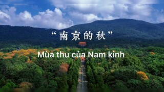 Mùa thu là mùa tình yêu thì phải #muathu #canhdep