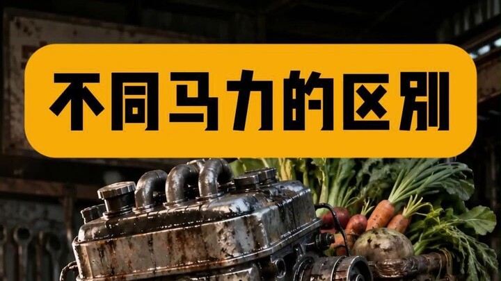 Sự khác biệt giữa các mức mã lực của ô tô