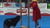 Best Dog Act ever!