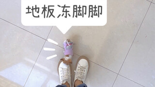 人类对吉娃娃的渺小一无所知