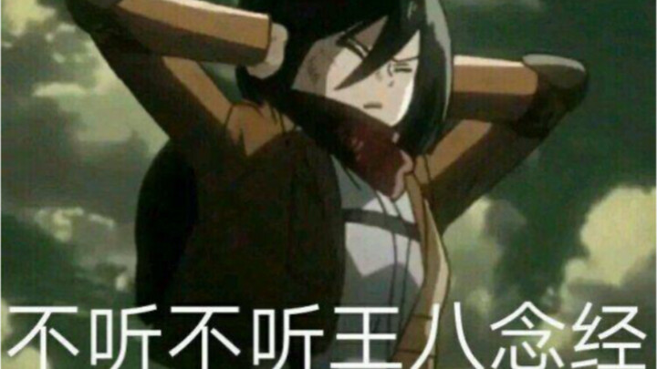 When you bought Mikasa King Han’s birthday wishes