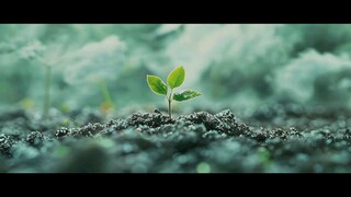 Always Home 2025 [EP 02] (Sub Indonesia)