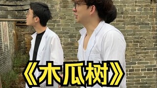 吃完木瓜还可以吃木瓜树