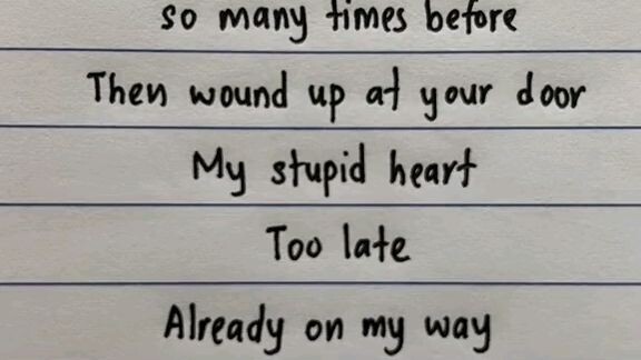 my stupid heart