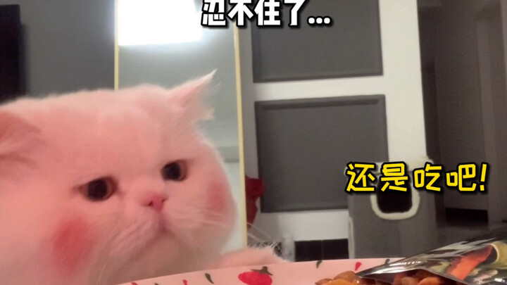 Lén mở cửa tủ lạnh đựng đồ ăn cho mèo rồi về phòng, chú mèo sẽ làm gì nhỉ? Cái dáng lén ăn ngon lành