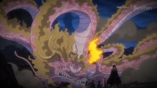 peliharaannya Luffy 🗿