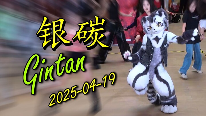 【兽装舞蹈】银碳Gintan - 2025年04月19日在上海举行的随机舞蹈