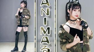 Phụ đề 【蛔 KAORU】 ANIMA る / ANIMAL✈✈ (* ΦωΦ *)