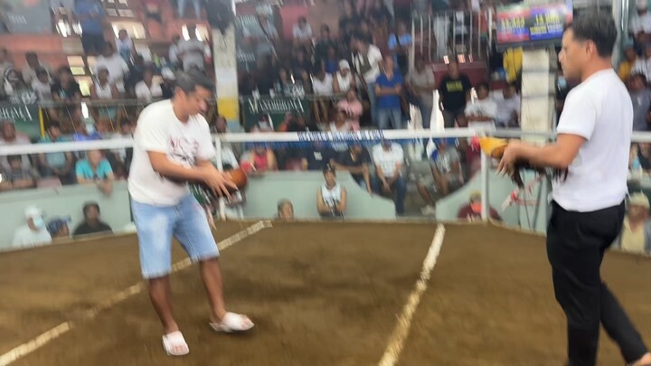 Umayon ang swerte tumakbo kalaban papatay na ang pumpkin -peterfun GF