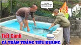 Thử Thách Làm Tiết Canh Cá Và Cái Kết - Quyết Tâm Làm Thành Công Món Tiết Canh Cá Trắm Trắng 5kg