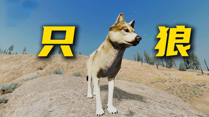 هذا أغرب لعبة لعبتها على الإطلاق! بطلها ذئب!