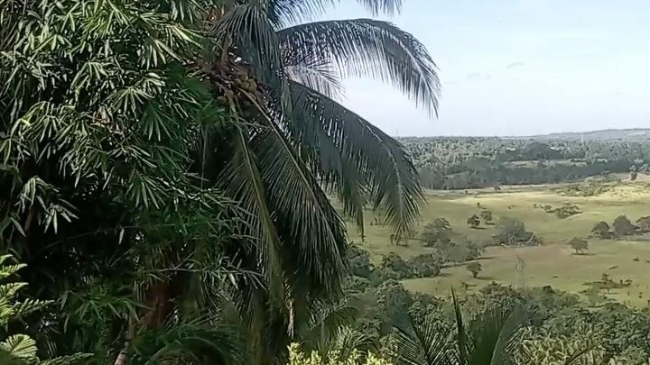 On my journey in life...