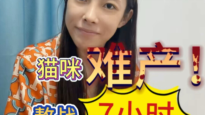 พนันได้เลยว่าคุณไม่เคยเห็นคนทำคลอดให้แมว!