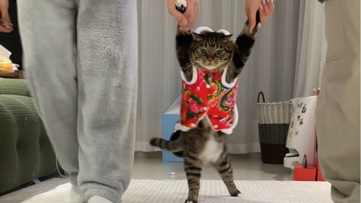 Chu Quyển Bảo: Sao Tết nhất cũng không được nghỉ vậy?