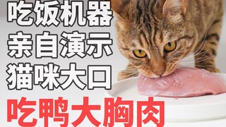 【豹猫】吃饭机器亲自演示生骨肉正确吃法，猫咪就该大口吃肉肉