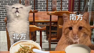 南北方的饮食习惯差异