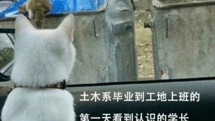 Teknik Sipil: Masa iya? Gaji yang cuma janji-janji manis itu juga disebut gaji?