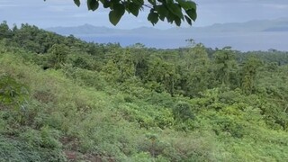 天南地北，跋山涉水，跑断狗腿；睁开眼睛在路上，闭上眼睛在酒店。这就是做矿人的生活，好在可以享受旅程 ...