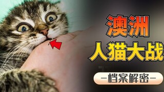 How much do Australians hate cats? They poison cats and venom them. What did cats do wrong?