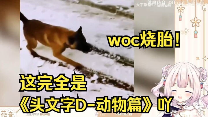 Japanese lolita watches “Animal Drift Encyclopedia” and is totally giggling at all the amazing corne