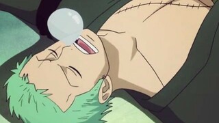 Jangan Ganggu Tidurnya Zoro 😏