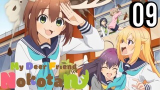 My Deer Friend Nokotan Episode 9