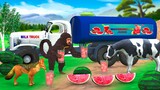 Monkey Sells Watermelon Juice with Milk Tanker in Forest Stories | Funny Animals Comedy Videos