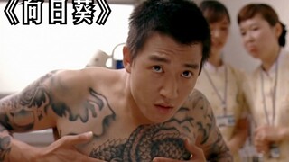 The crime boss returns as king, intending to turn over a new leaf and start life afresh, only to fin