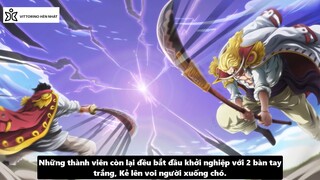 Vittorino hèn nhát - Review - Phân Tích  Thế Hệ Củ - ONE PIECE #anime #schooltime