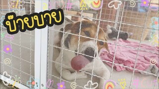 โลกของแสนดี ตอน ลาก่อนบ้านหลังเก่า