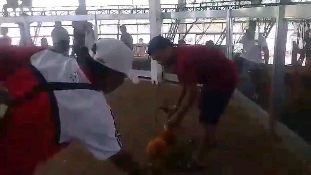 2nd & lastfight of gold 2x winner