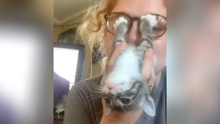 “Hít mèo sướng lắm phải không? Vậy thì hít cho đã đi!”