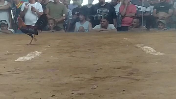 Ganda Ng condition d umayaw