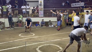 Win orani coliseum 11-21-25