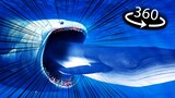 360° - BLOOP SWALLOWS BLUE WHALE!