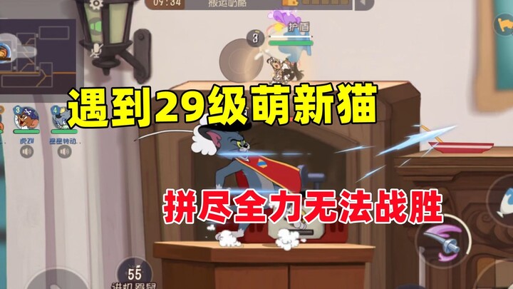 猫和老鼠手游：遇到29级萌新猫玩家 拼尽全力无法战胜