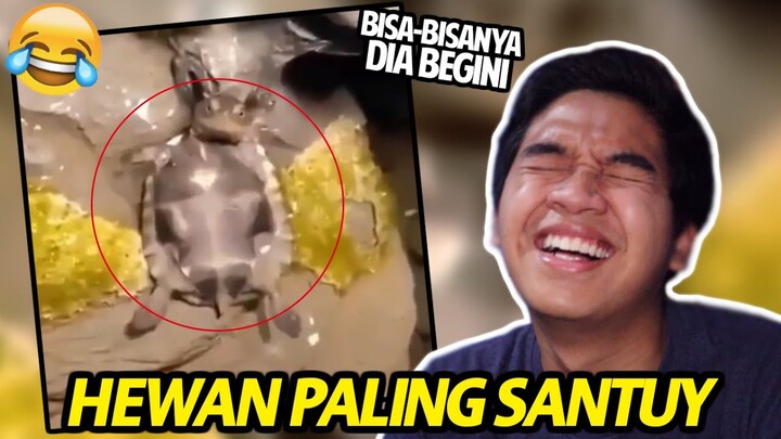 AKHIRNYA AKU MENEMUKAN HEWAN TERSANTUY DI DUNIA!! REACTION VIDEO LUCU HEWAN!