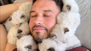 Siapa yang mau syal anak kucing!?