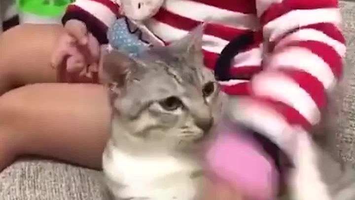 Seized fate by the throat