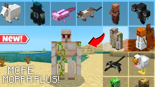 CARA BERUBAH MENJADI SEMUA MOBS DI MINECRAFT PE! | MOB MORPHS ADDON/MOD