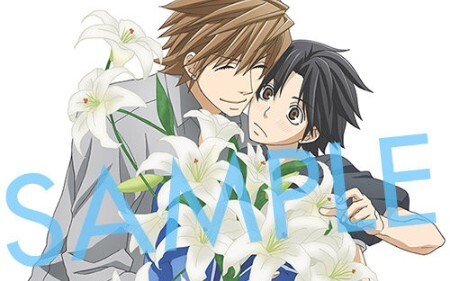 [ The World's Greatest First Love ][Shota×Yukina-sou] A strong confession from a younger man. You de
