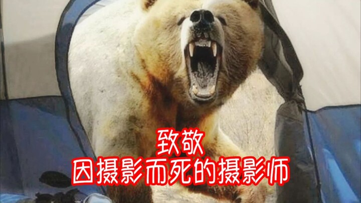 Hormat untuk para fotografer yang tewas karena berfoto