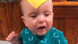 Bố mẹ bạn nhìn bạn khóc và ném một miếng pho mát vào bạn🧀