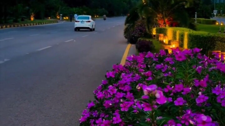 👉 Beautiful Nature Road View 🌿