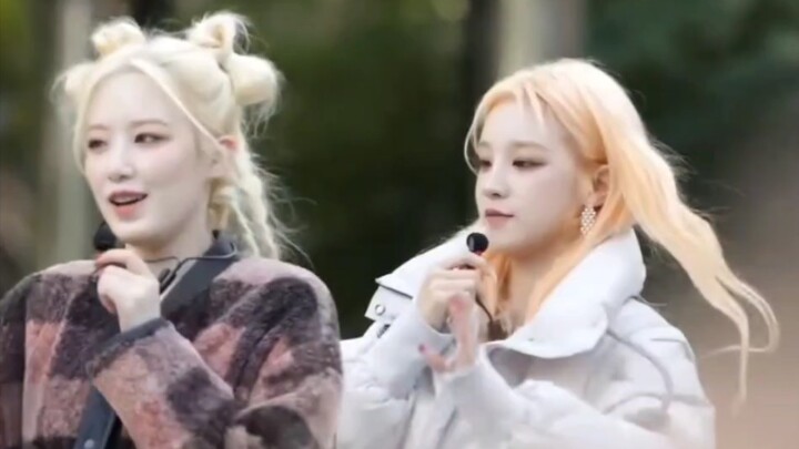Maknae line! Kiyo!! Megaphone girl group! Live singing!