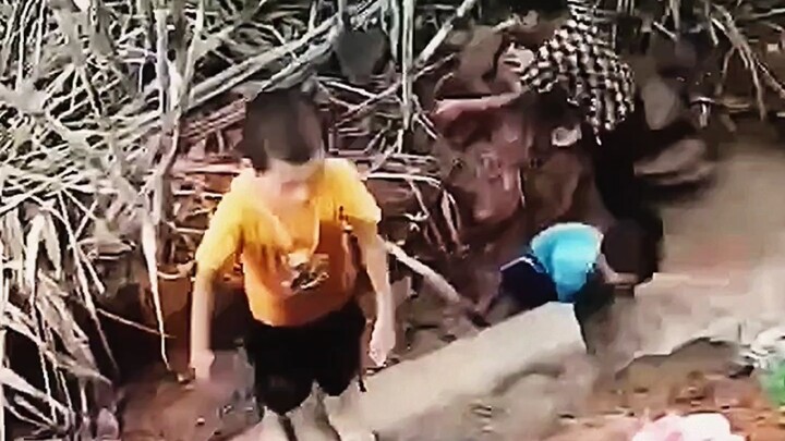 【มีมตลกประจำวัน】อัปเดตวิดีโอใหม่แล้ว รีบมาดูกันเลย!